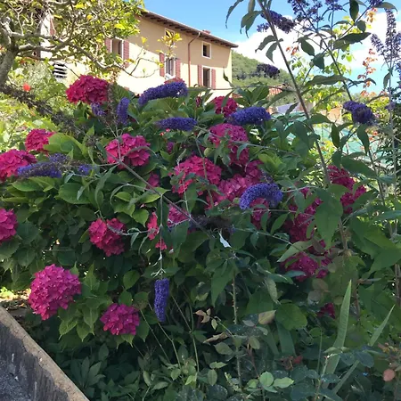 Tatil Evi Casa Castanea - Garda Hideaway Piano (Bergamo)