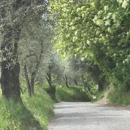 Casa Castanea - Garda Hideaway * Piano (Bergamo)